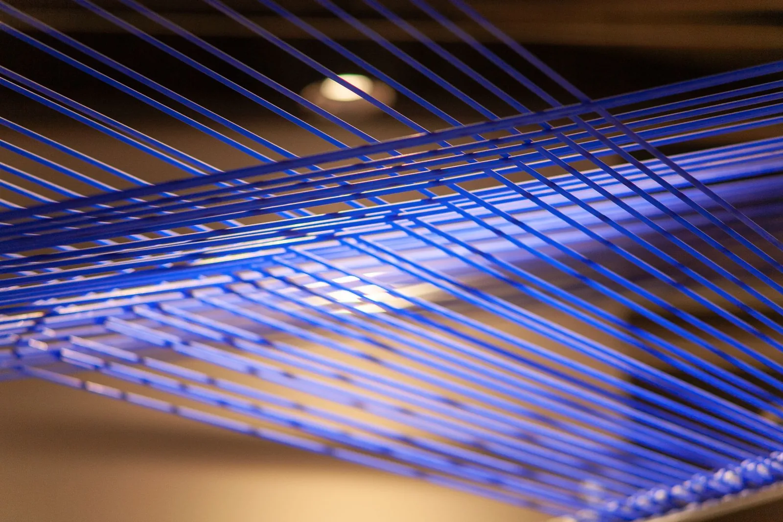 Blue Rope Object